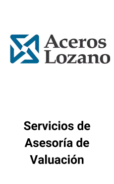 Seale & Associates brindó servicios de asesoría en valuación a Aceros Lozano