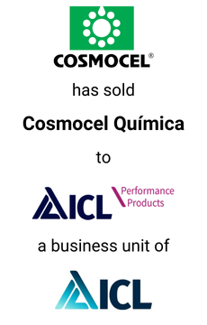 Seale advised Cosmocel on the divestiture of Cosmocel Química to ICL