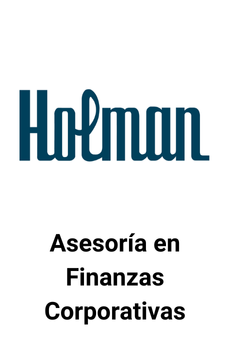 Holman - Corporate Finance