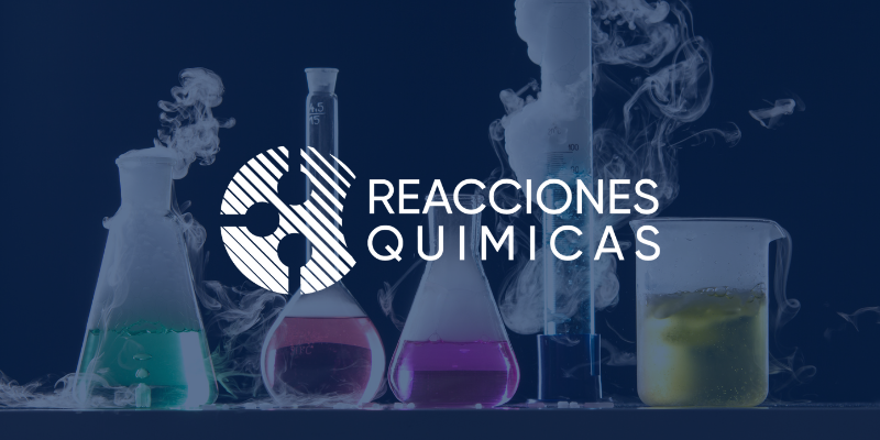 Reacciones Quimicas business acquisition case study